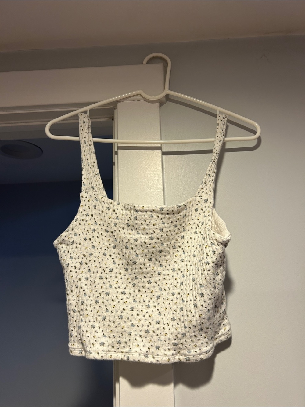 American Eagle Outfitters White Floral Knit Cropped Cami